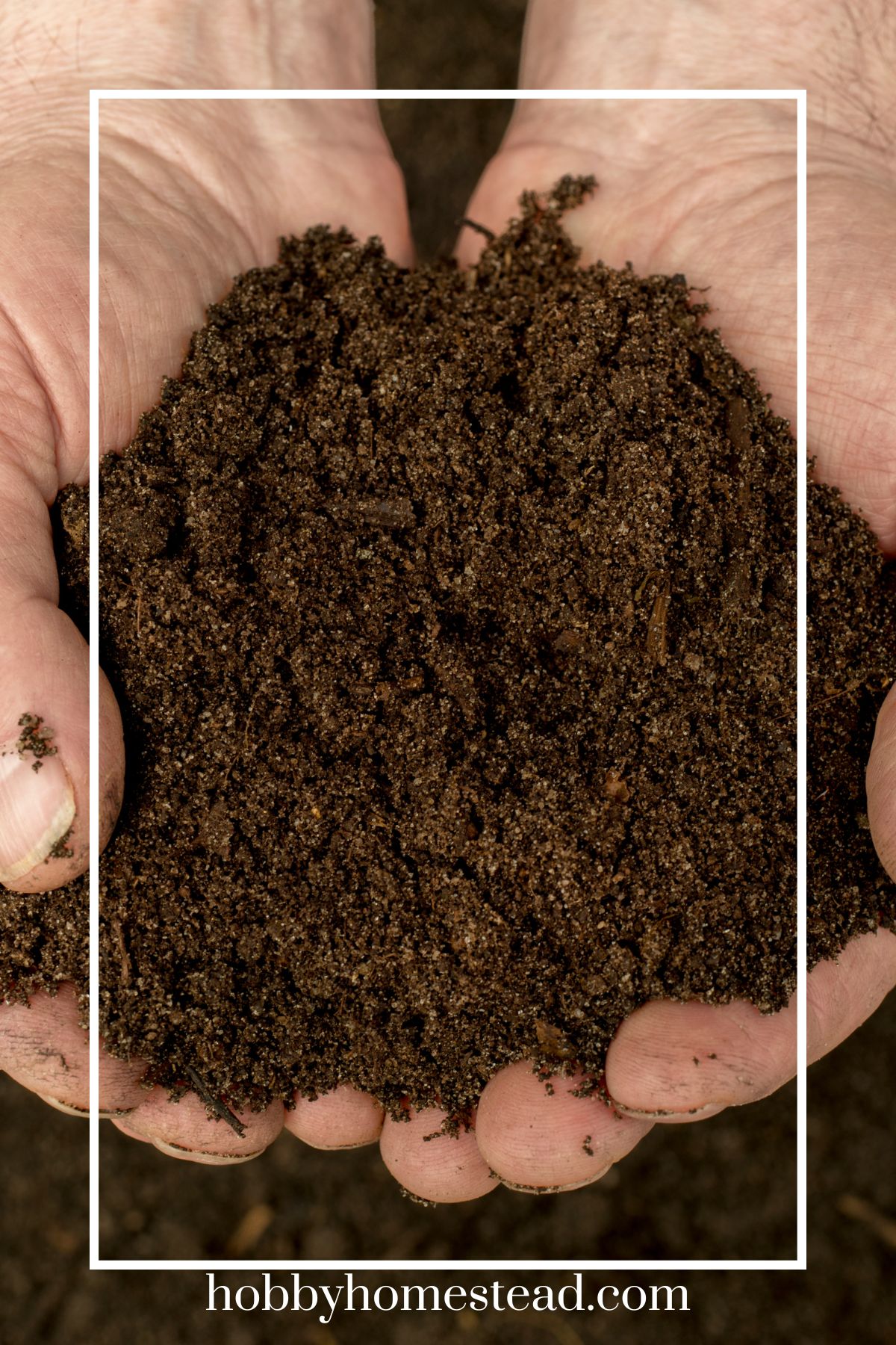 How to Start Composting: A Beginner’s Guide - Hobby Homestead