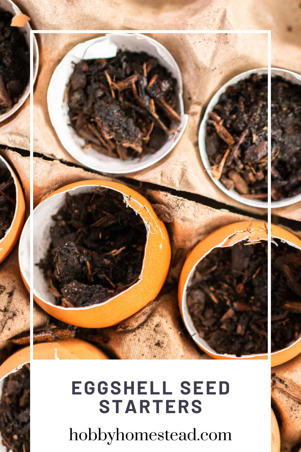18 Genius Ways to Use Eggshells: Garden to Home Uses - Hobby Homestead