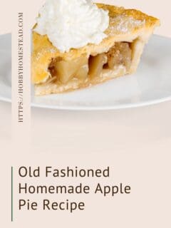 Old Fashioned Homemade Apple Pie Recipe