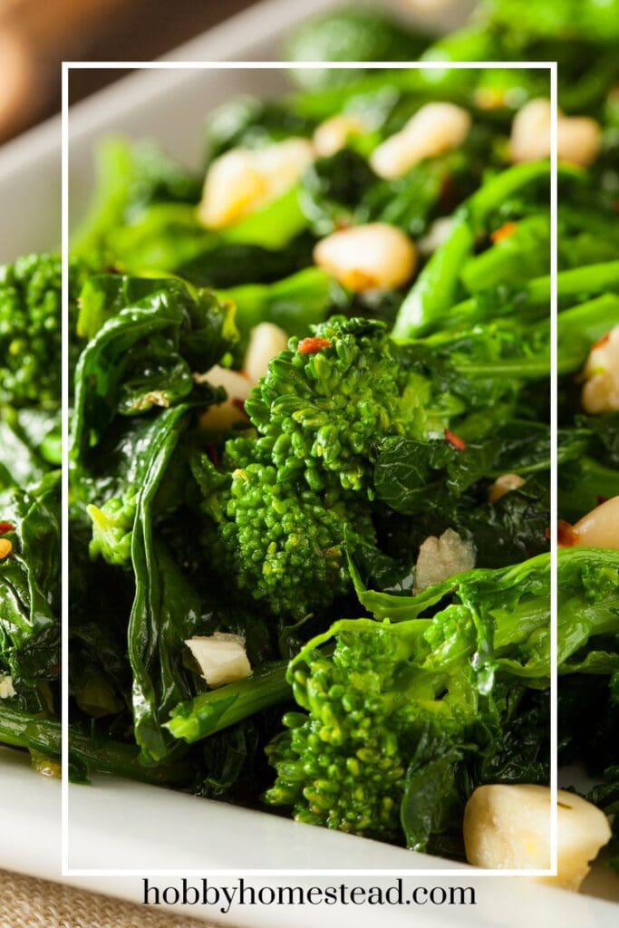 Sautéed Broccoli Rabe Plated