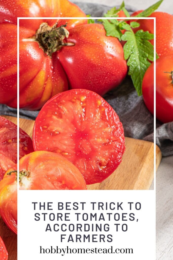 The Best Trick to Store Tomatoes, According to Farmers