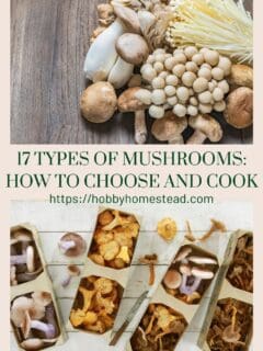 17 Types of Mushrooms How to Choose and Cook