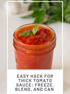 Easy Hack for Thick Tomato Sauce Freeze, Blend, and Can