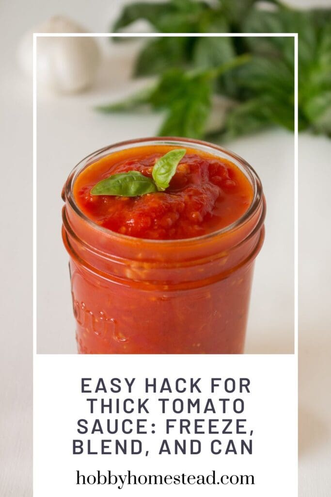 Easy Hack for Thick Tomato Sauce Freeze, Blend, and Can