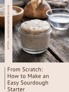 From Scratch How to Make an Easy Sourdough Starter