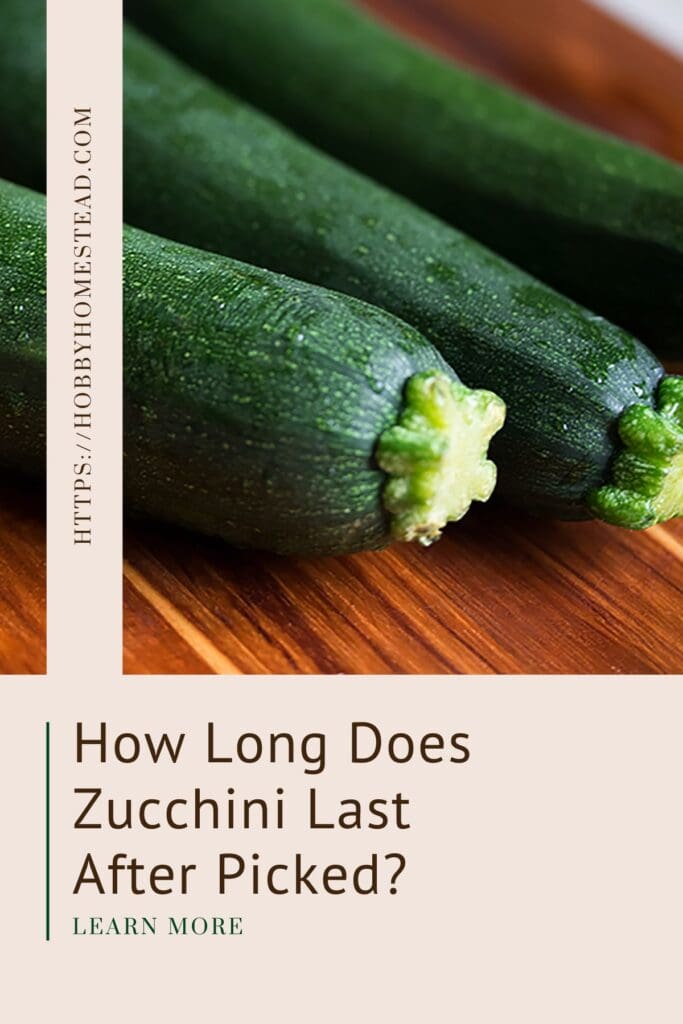 How Long Does Zucchini Last After Picked