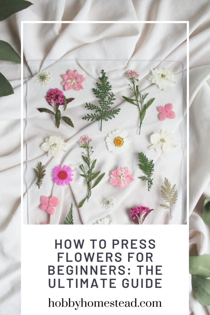 How to Press Flowers for Beginners The Ultimate Guide