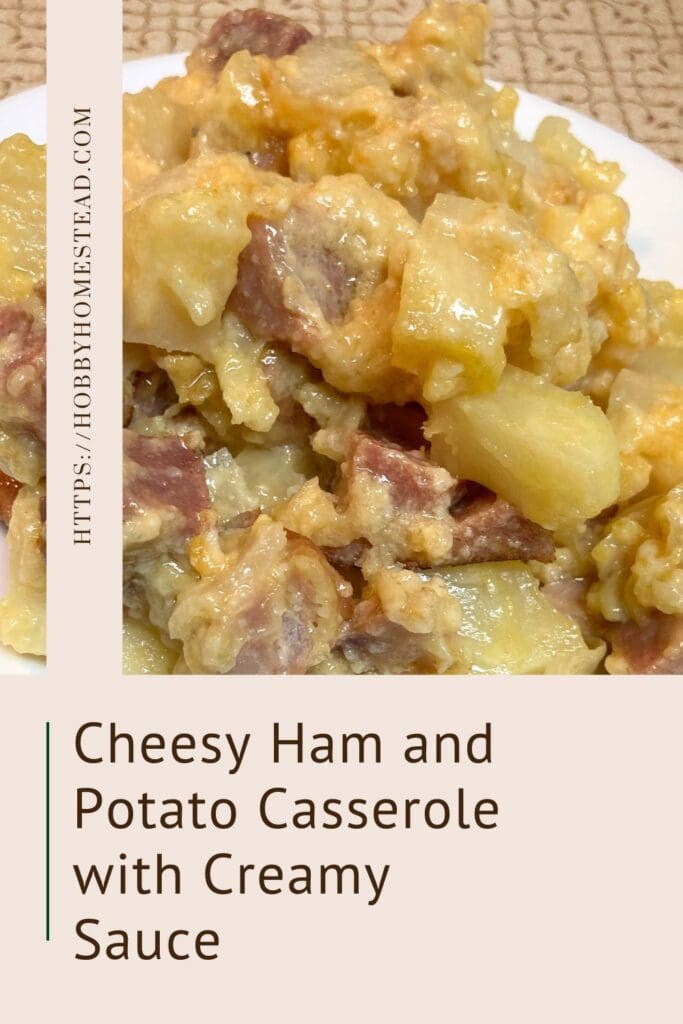 Cheesy Ham and Potato Casserole with Creamy Sauce