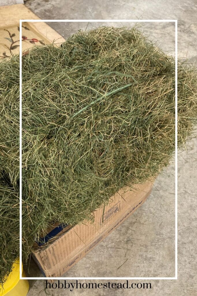 DIY Mini Bale of Hay from Dried Grass Clippings