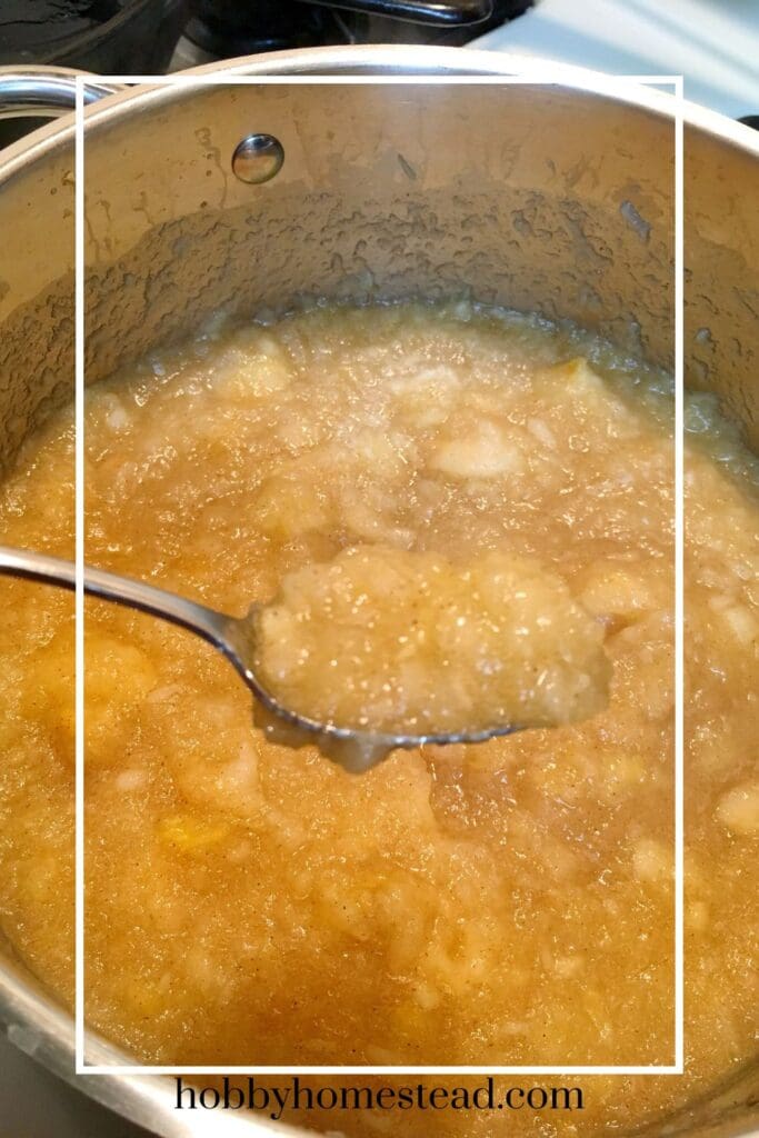 Easy Applesauce Recipe