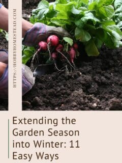 Extending the Garden Season into Winter 11 Easy Ways