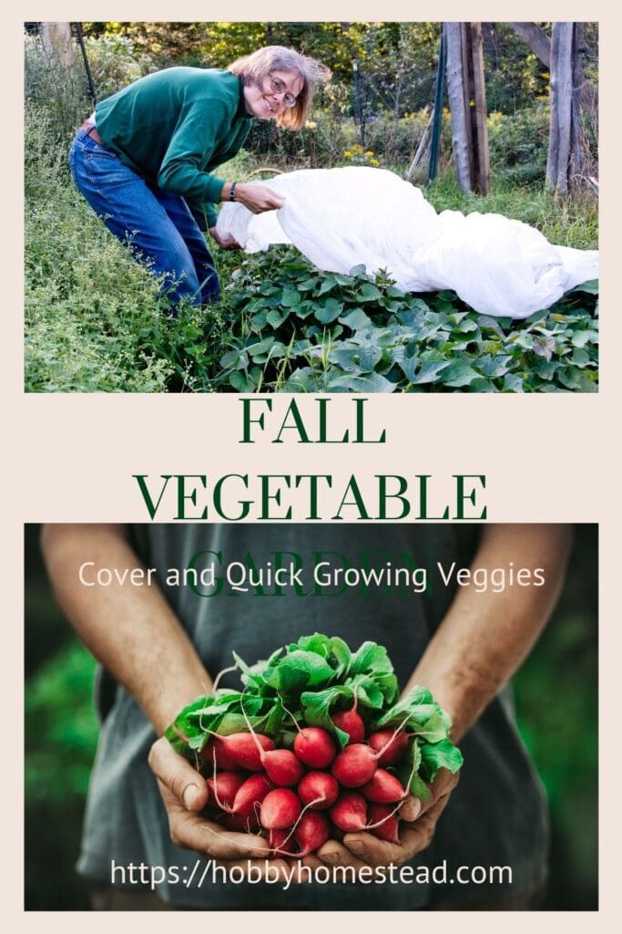 Fall Vegetable Garden