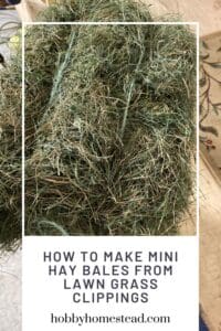 How to Make Mini Hay Bales from Lawn Grass Clippings