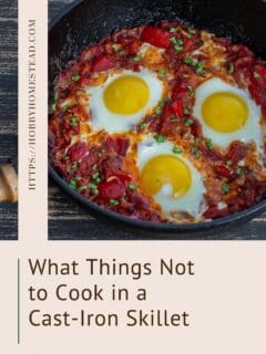 What Things Not to Cook in a Cast-Iron Skillet