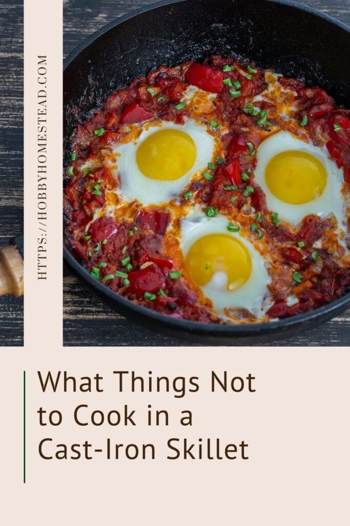 What Things Not to Cook in a Cast-Iron Skillet