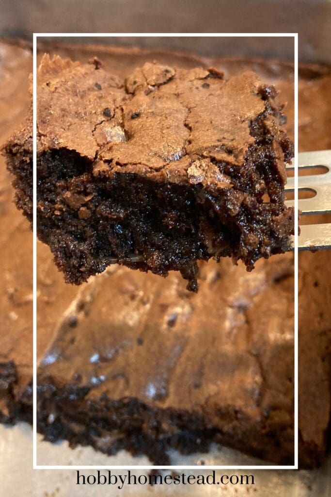 A pan of fudgy brownies