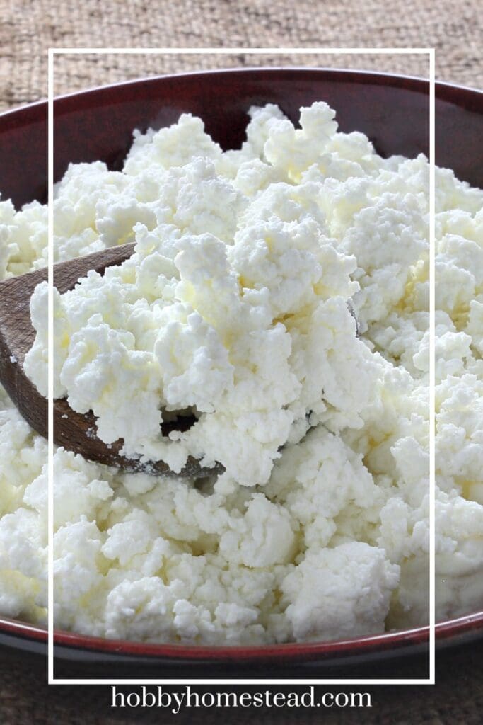 Bowl of DIY Cottage Cheese