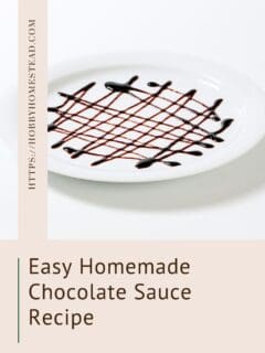 Easy Homemade Chocolate Sauce Recipe