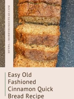 Easy Old Fashioned Cinnamon Quick Bread Recipe