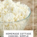 Homemade Cottage Cheese Simple and Delicious DIY Recipe