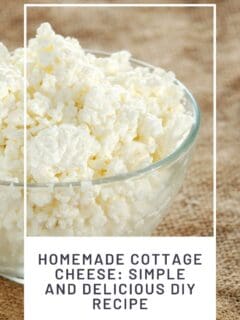 Homemade Cottage Cheese Simple and Delicious DIY Recipe