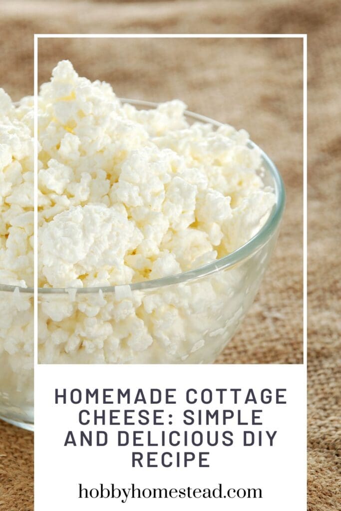 Homemade Cottage Cheese Simple and Delicious DIY Recipe