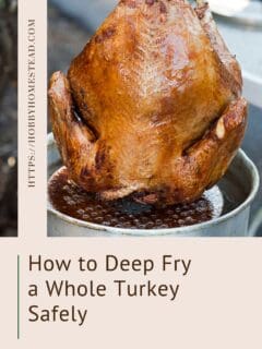 How to Deep Fry a Whole Turkey Safely