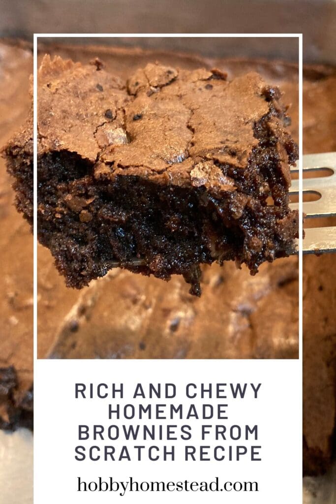 Rich and Chewy Homemade Brownies from Scratch Recipe