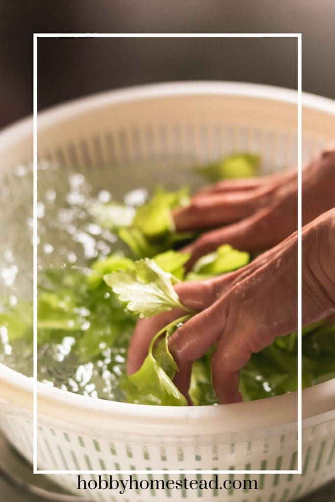 Washing Loose Lettuce Leaves