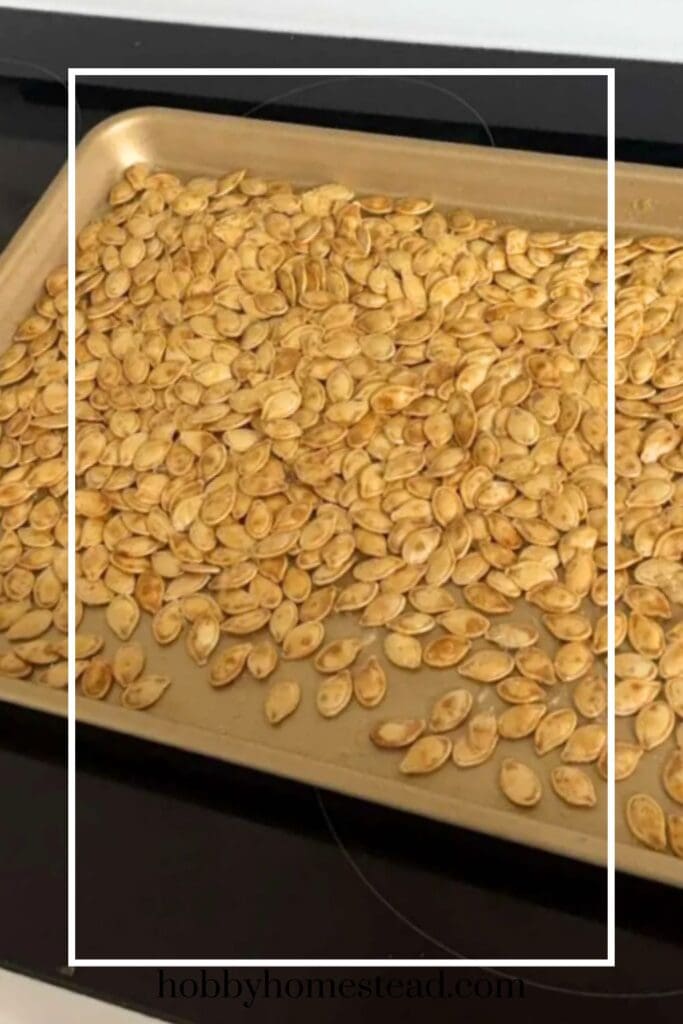 oven roasted pumpkin seeds on a baking sheet