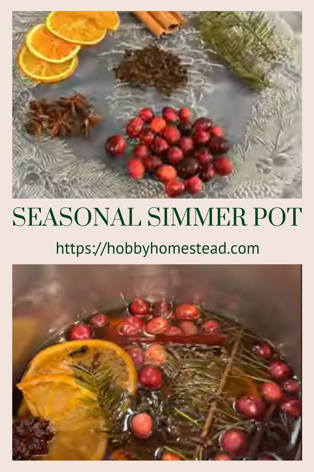 How to Make Homemade Simmer Pots (Stovetop Potpourri) - Hobby Homestead