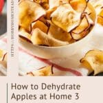 How to Dehydrate Apples at Home 3 Easy Methods