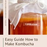 Easy Guide How to Make Kombucha Primary Fermentation