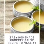 Easy Homemade Comfrey Salve Recipe to Make at Home