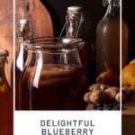 Delightful Blueberry Kombucha Make Your Own