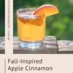 Fall-Inspired Apple Cinnamon Kombucha Recipe