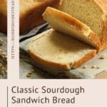 Classic Sourdough Sandwich Bread Recipe Easy and Soft