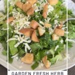 Garden Fresh Herb Salad with Bright Lemon Vinaigrette