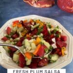 Fresh Plum Salsa with Lime and Cilantro
