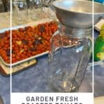 Garden Fresh Roasted Tomato Marinara